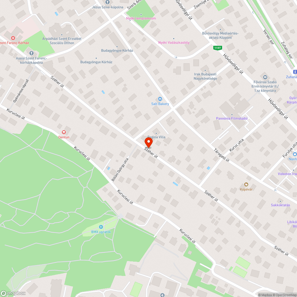 Burkolathibás út, széttöredezett, gazos járda bejelentés helye