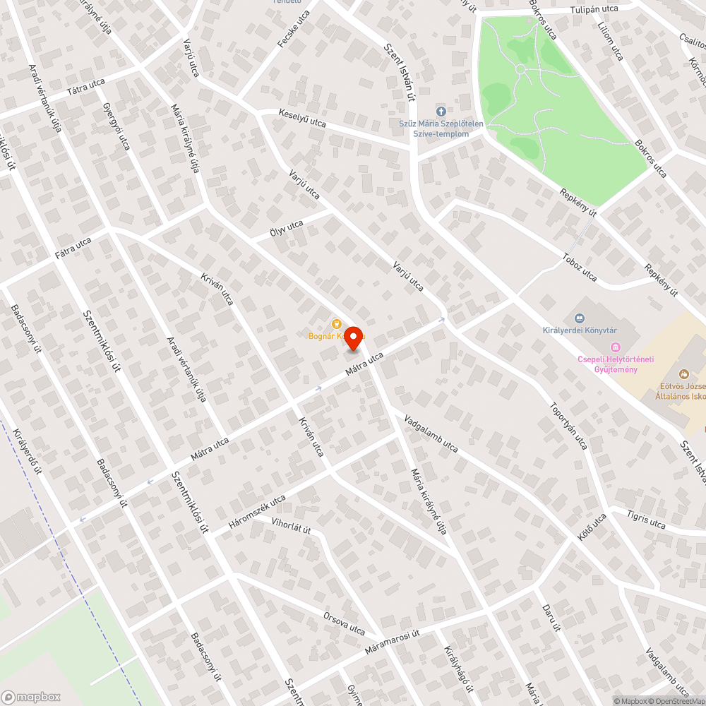 Felpúposodott, balesetveszélyes járda bejelentés helye