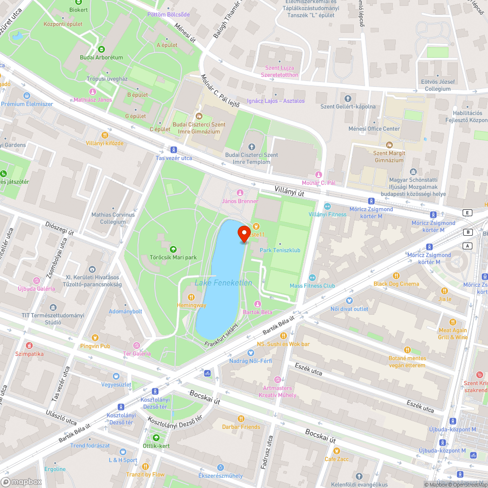 Feneketlen tó partja tele szeméttel bejelentés helye