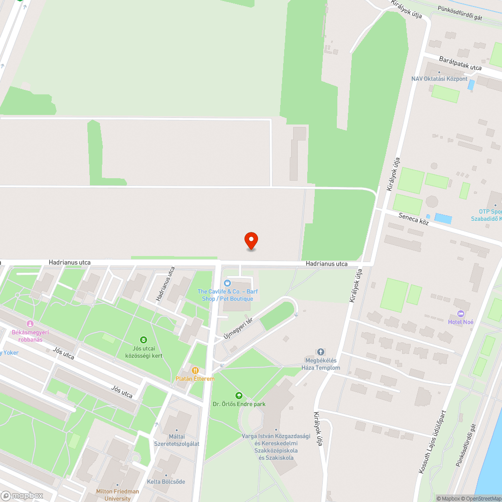 Kidőlt faág bejelentés helye