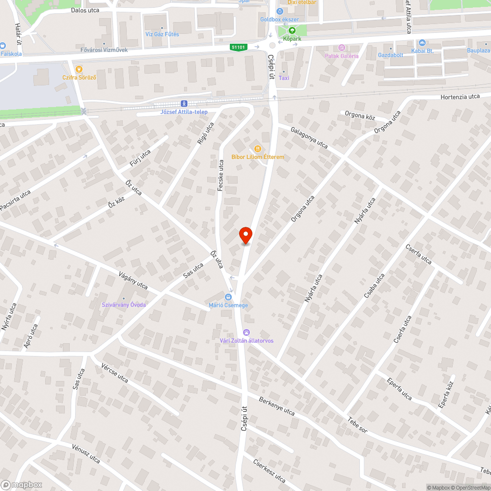 Veszélyes átkelő bejelentés helye