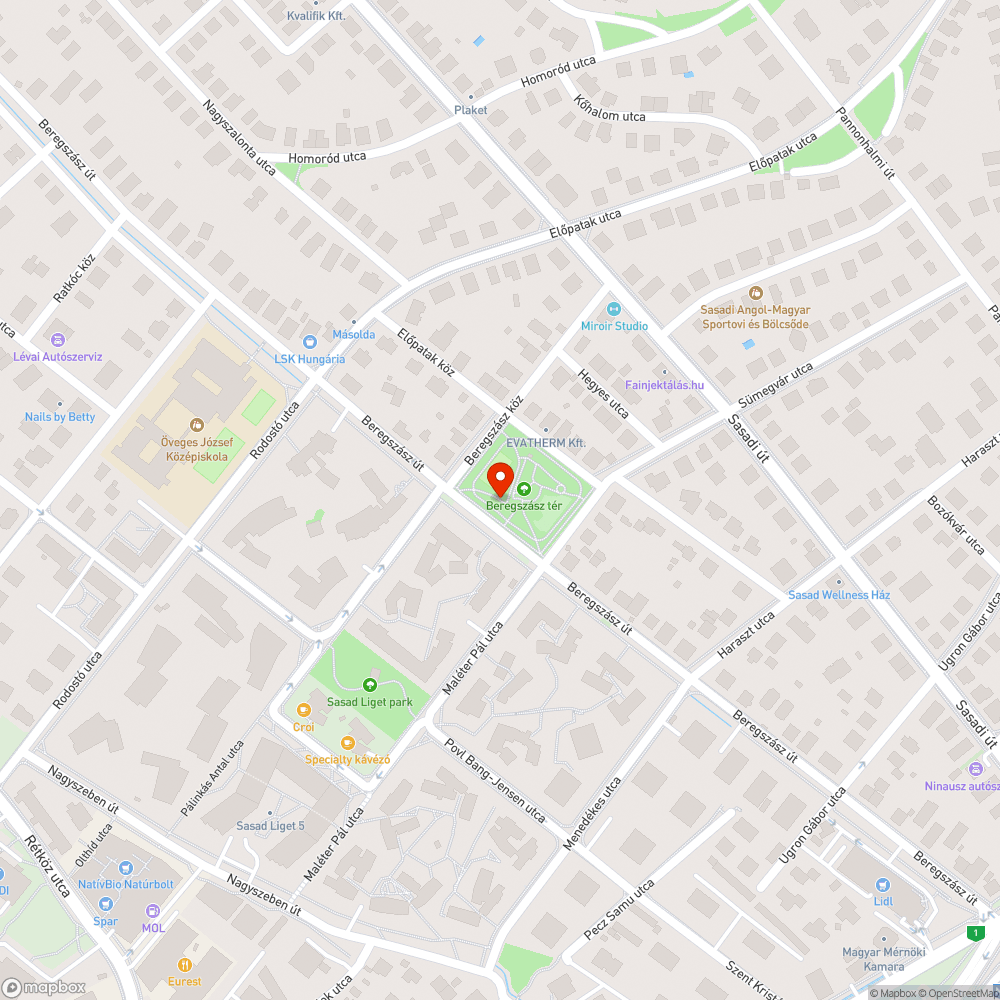 Beregszász tér leszakadt pad bejelentés helye