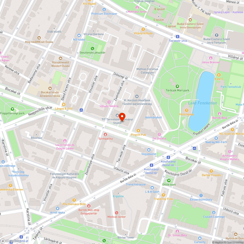 Úttestre belógó bokrok - Bocskai út 37 bejelentés helye