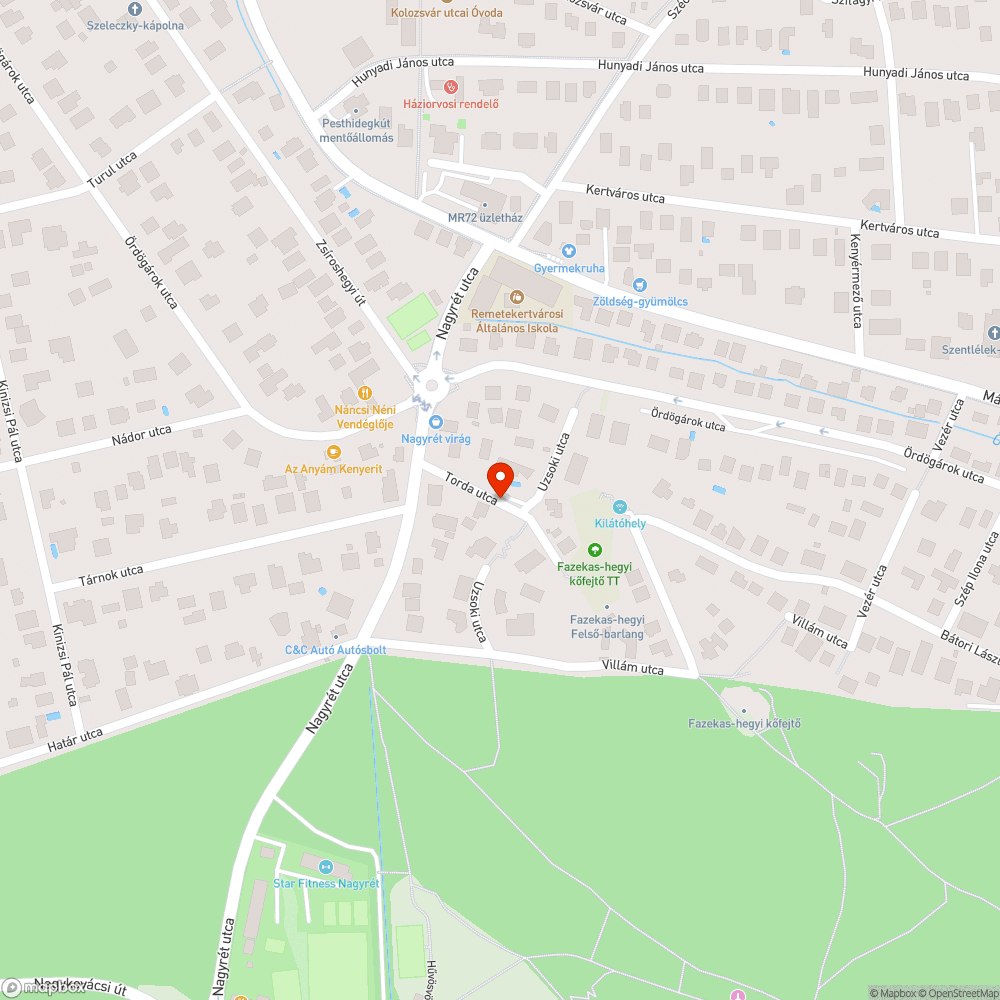 A lépcsőt lassan visszafoglalja a természet bejelentés helye