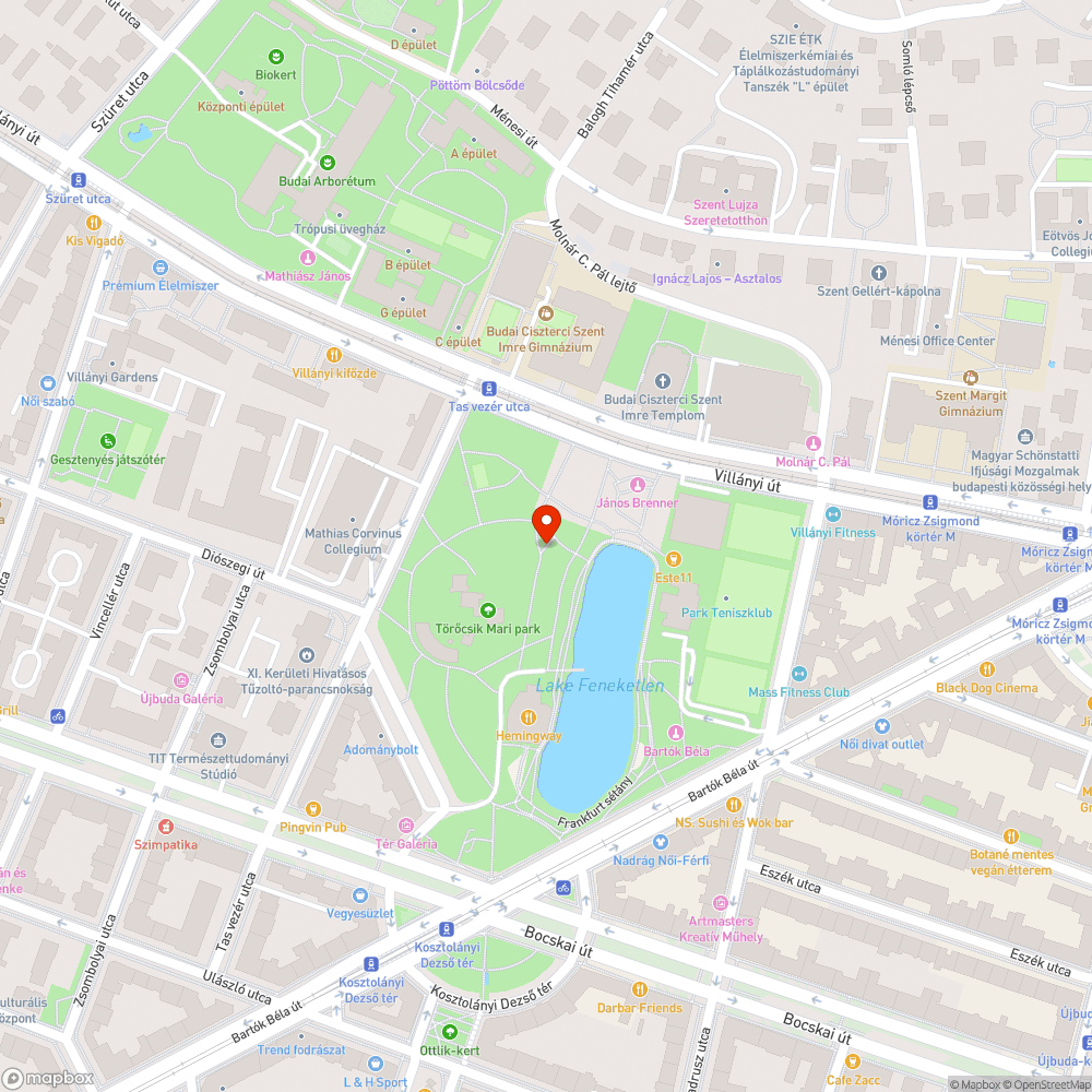 Halott madár bejelentés helye