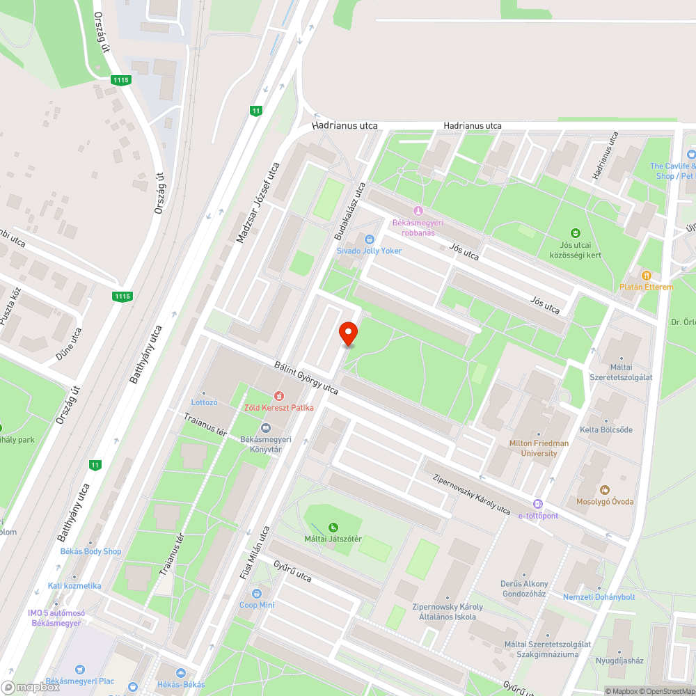 Leszakadt faág bejelentés helye