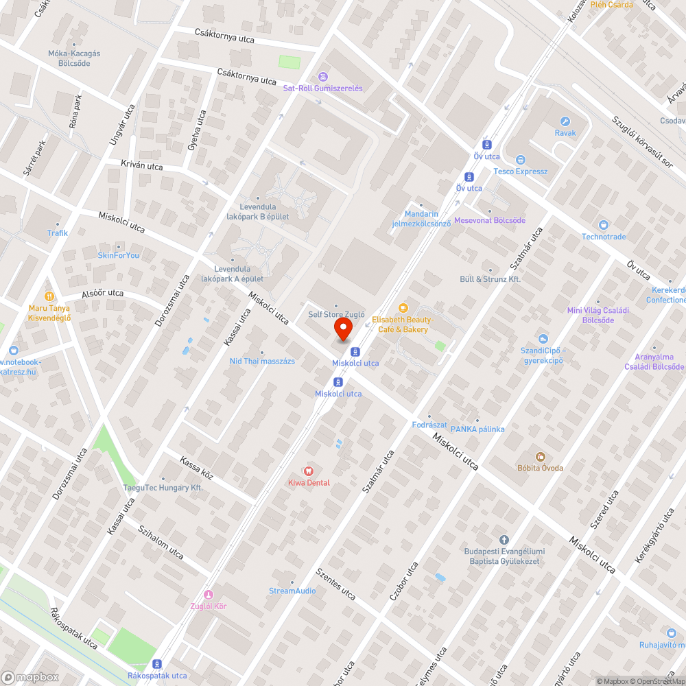 Összefirkált, gazos, szemetes műemlék jellegű ház bejelentés helye