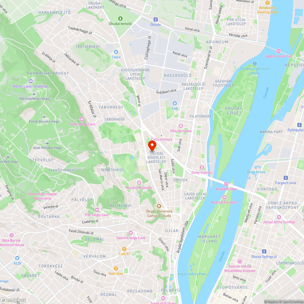 Járda fölé erősen belógó ágak a Váradi utcában bejelentés helye