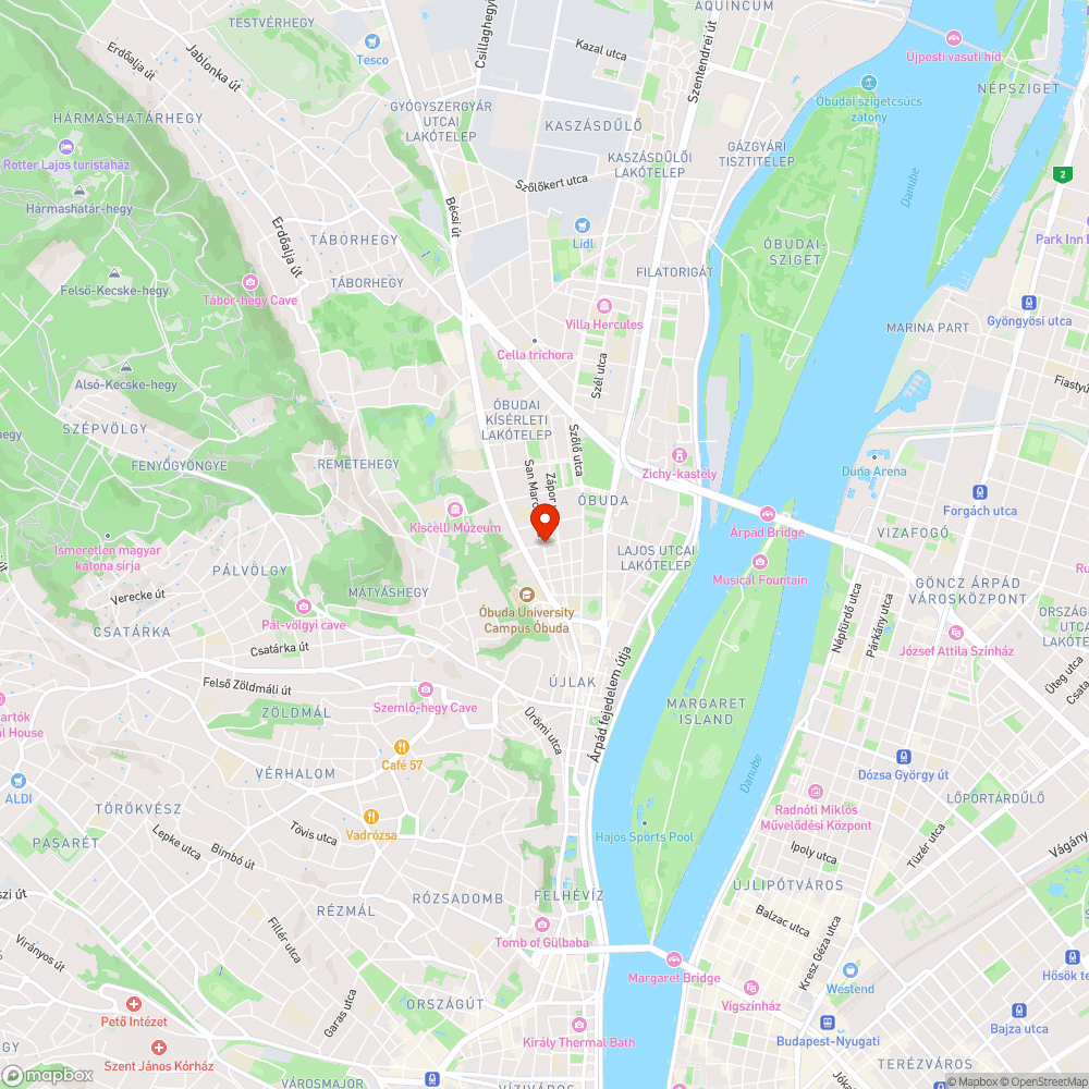 Száraz faág járda / úttest felett bejelentés helye