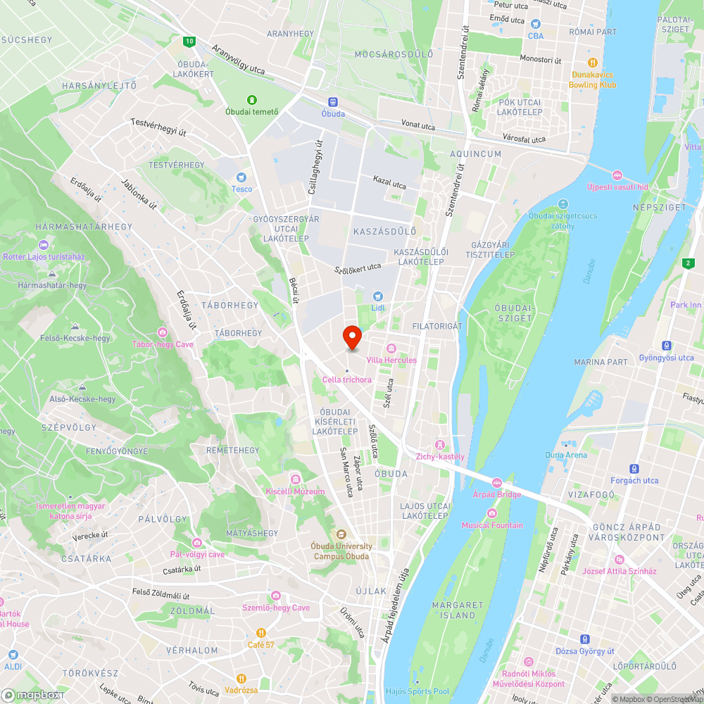 Elmaradt fapótlás bejelentés helye