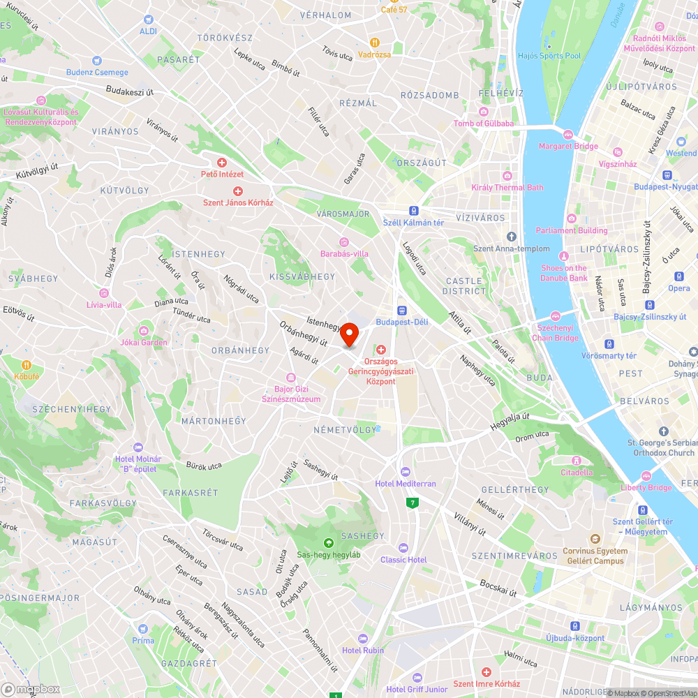 Bálványfa-invázió a KIrályhágó téren bejelentés helye