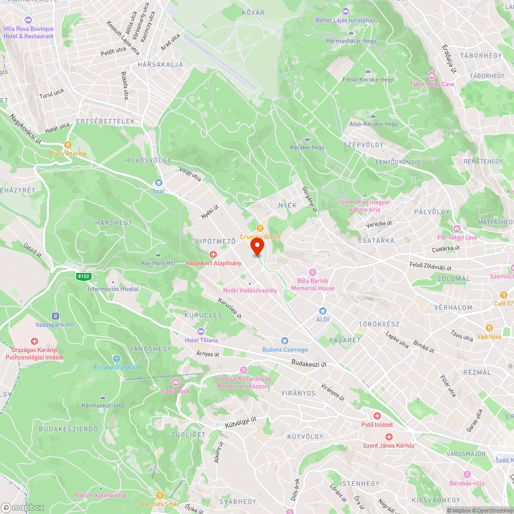 Elhagyott autó bejelentés helye