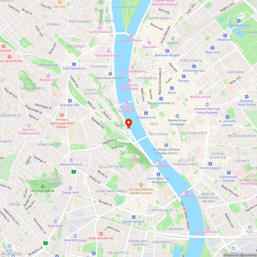 Bringautat elfoglaló pocsolya a Várkert bazárnál bejelentés helye