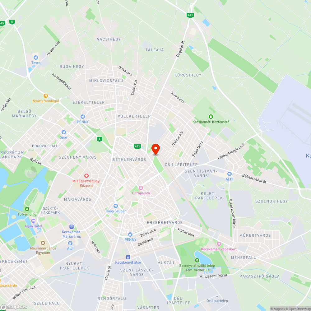 Életveszélyes, kiszáradt fák a Vasútparkban bejelentés helye