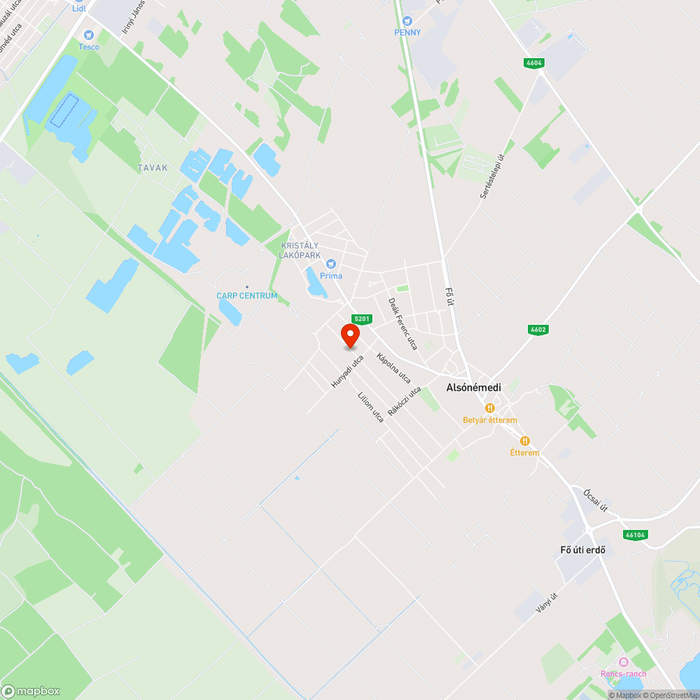 Árokba esett gomba bejelentés helye