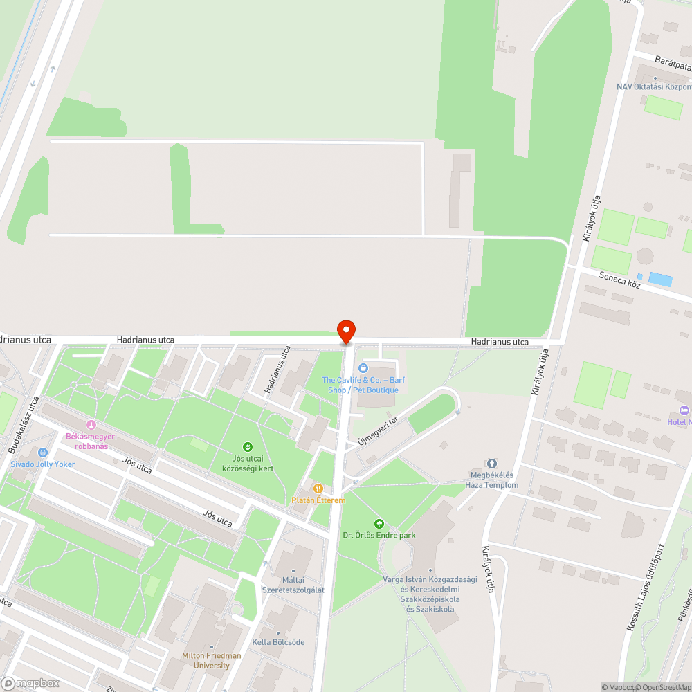 Szabálytalan parkolás bejelentés helye