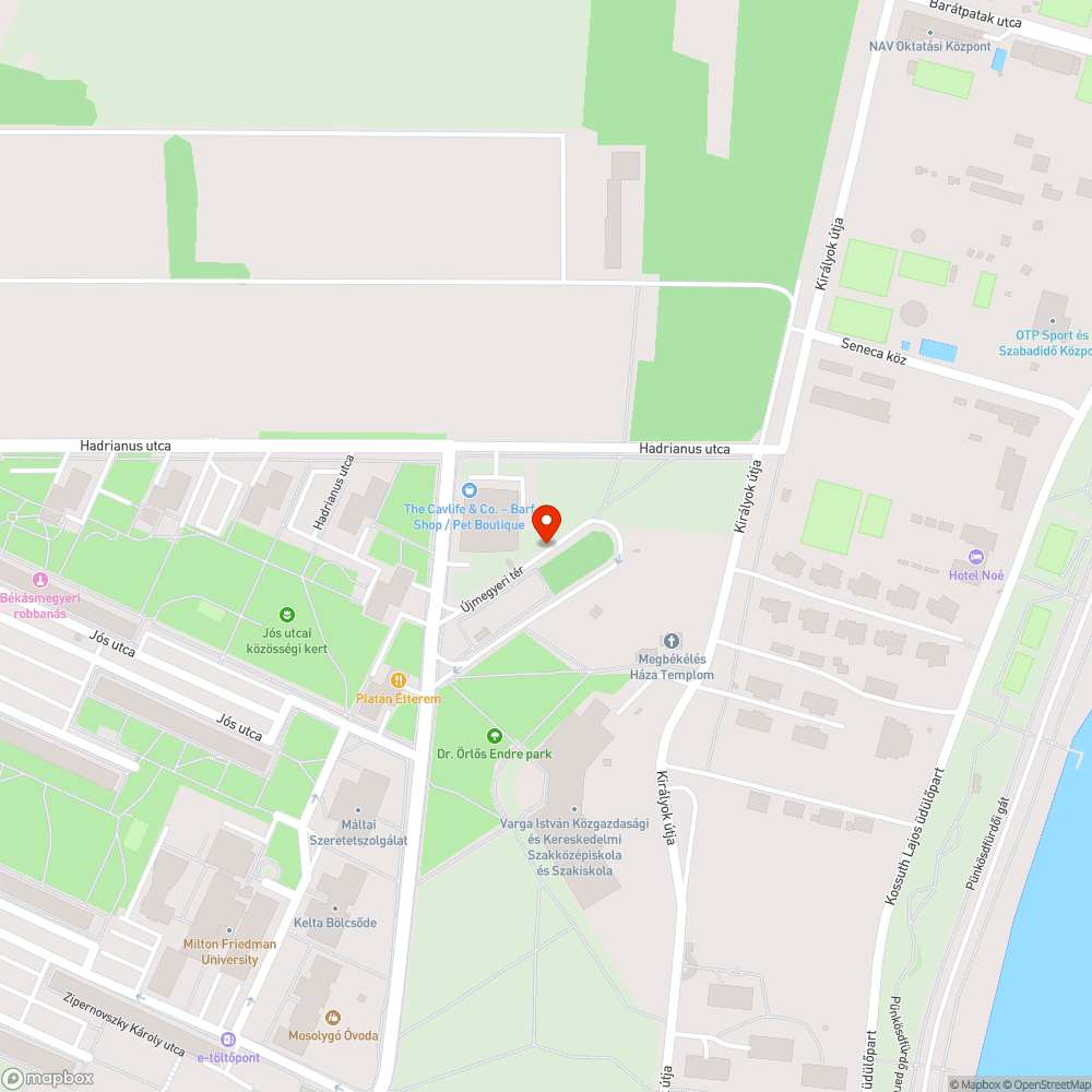 Gumiabroncs bejelentés helye