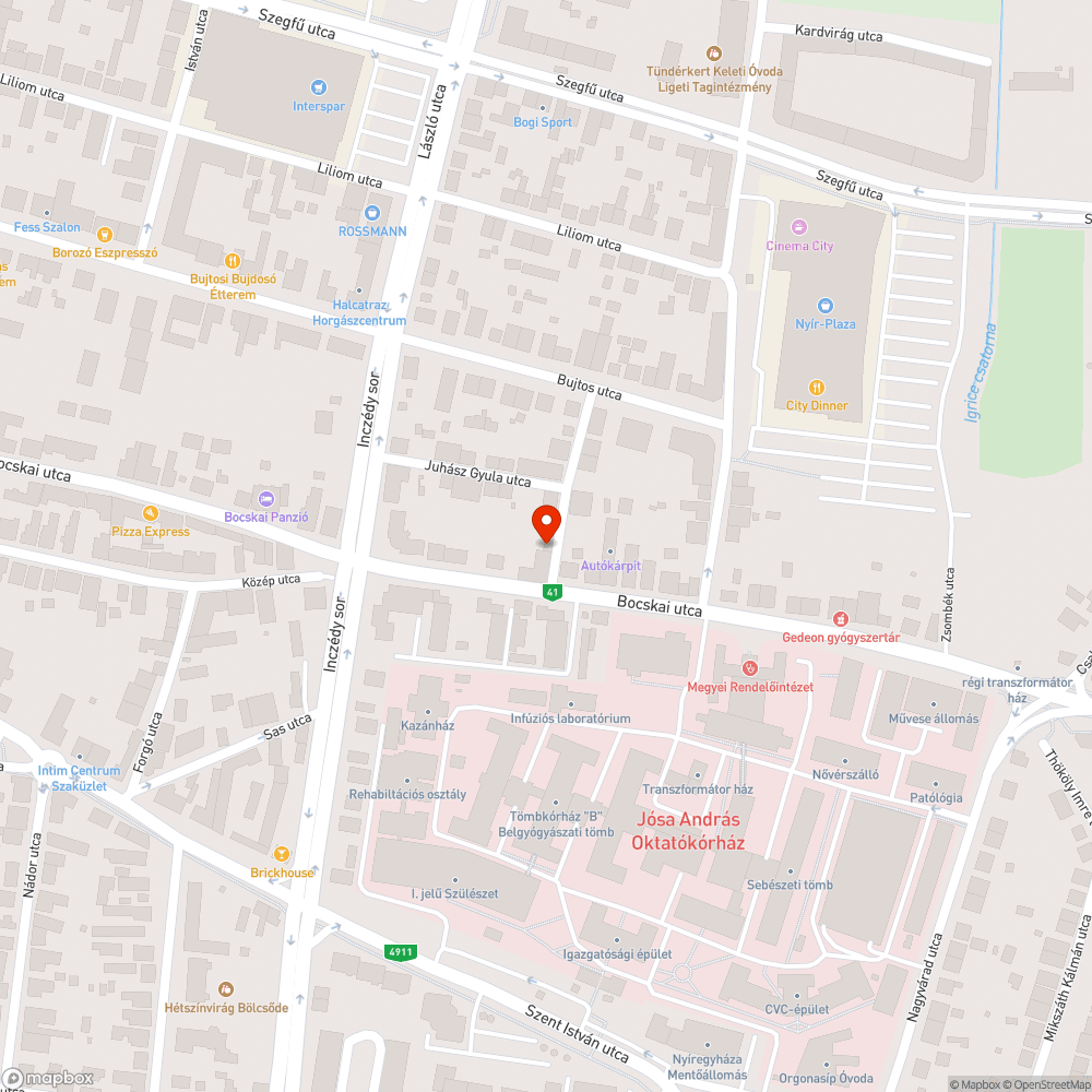 Gondozatlan zöldsáv bejelentés helye