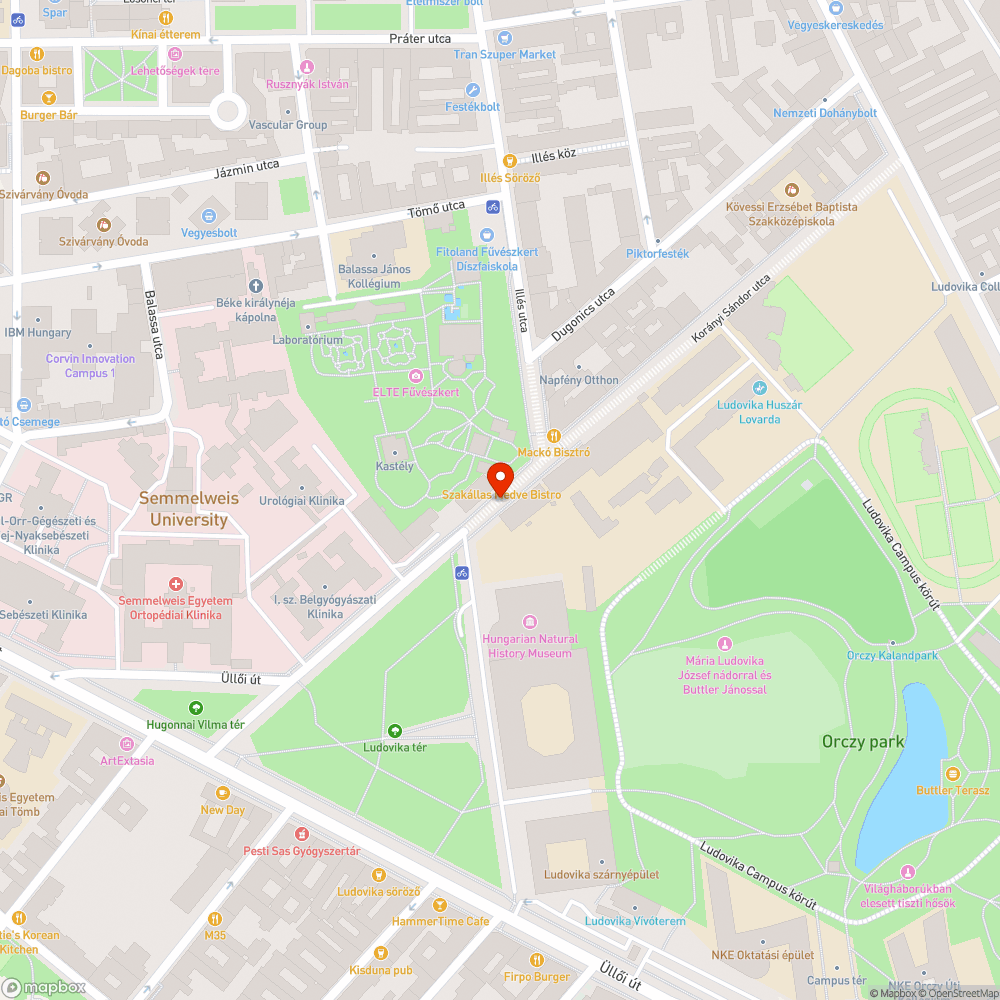 Szemetes a Korányi utca bejelentés helye