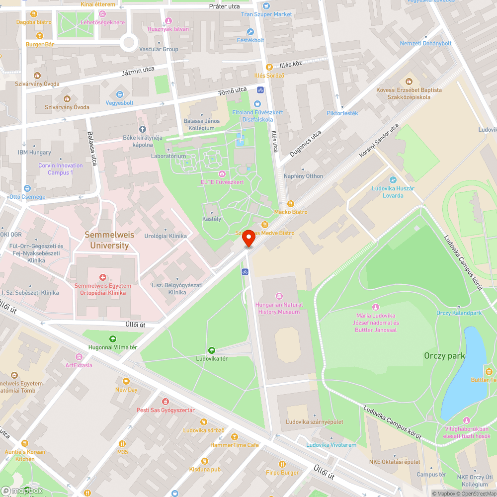 Szemetes aljnövényzet bejelentés helye