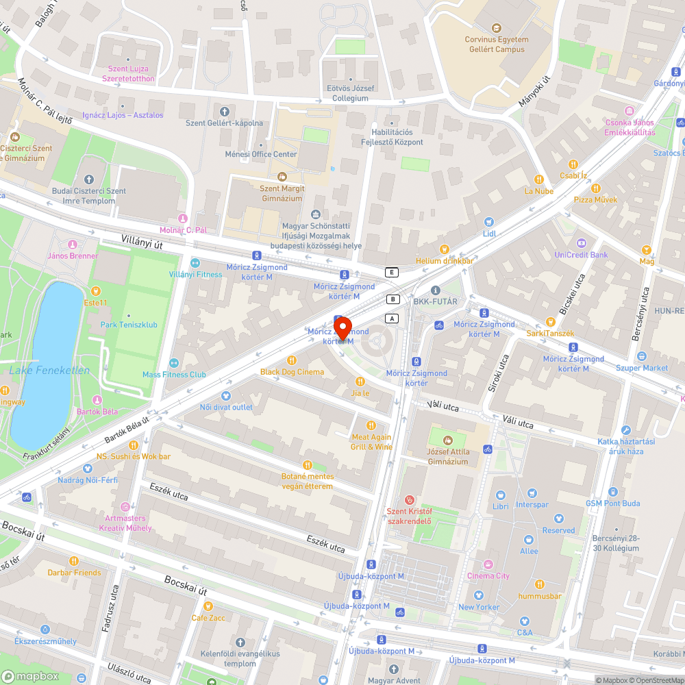 Galambok etetése bejelentés helye