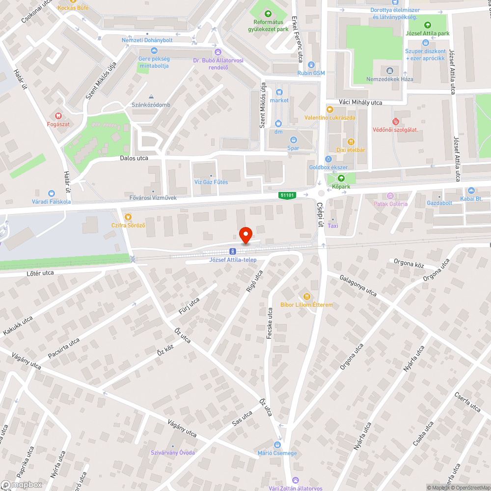 Levágott ágak a sínek mellett bejelentés helye