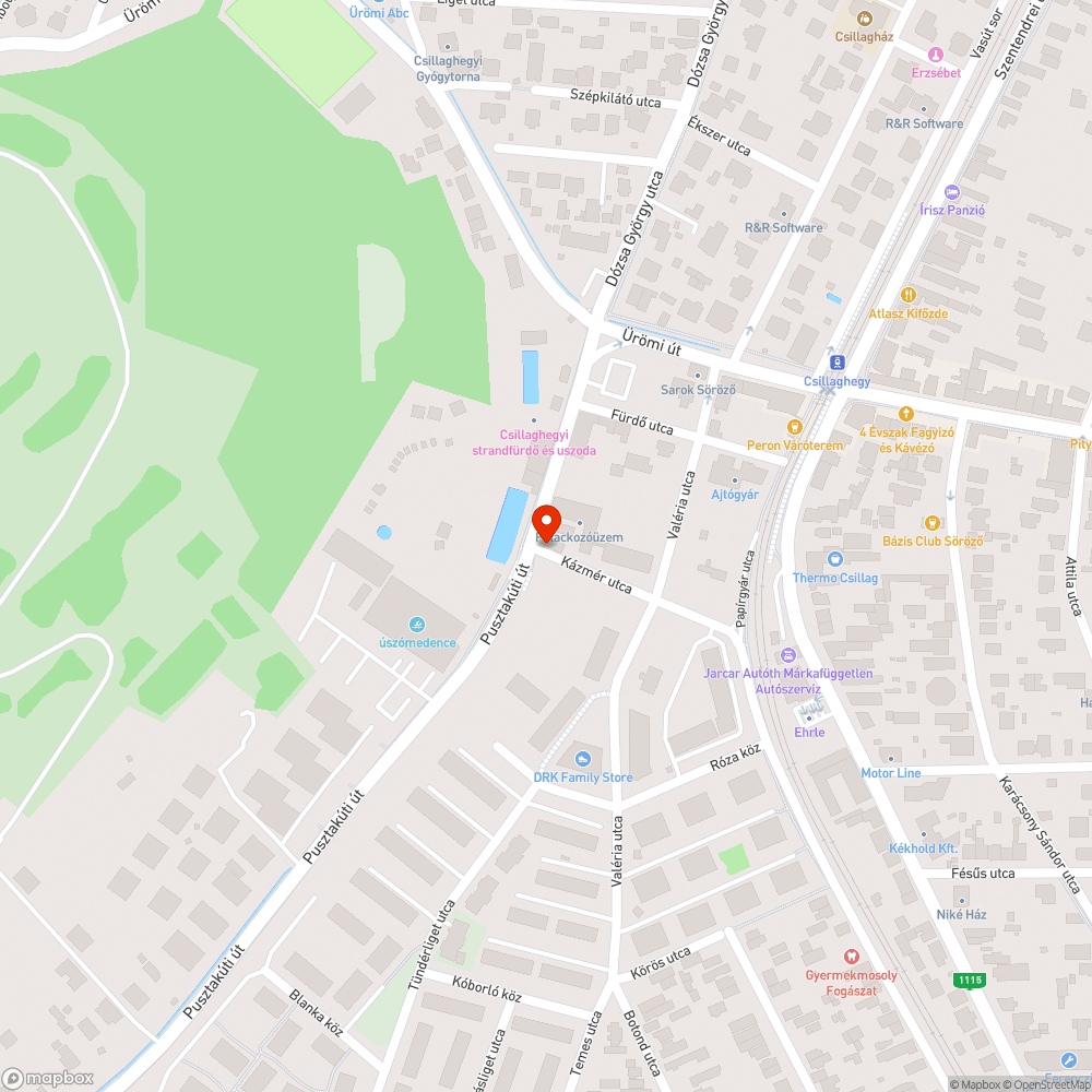 Nem közterületre való, obszcén graffiti bejelentés helye