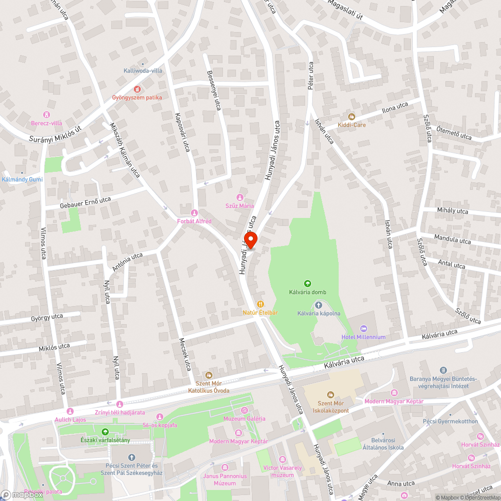 Ránőtt növényzet miatt nehezen járható bejelentés helye