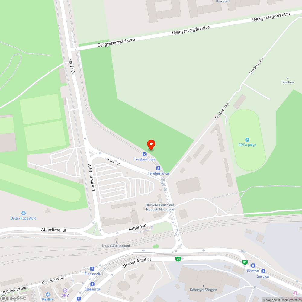 Földből kitépett csikktartó és szemetes bejelentés helye