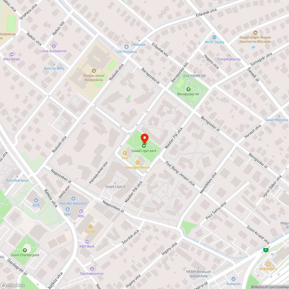 Sasad Liget mocsár bejelentés helye