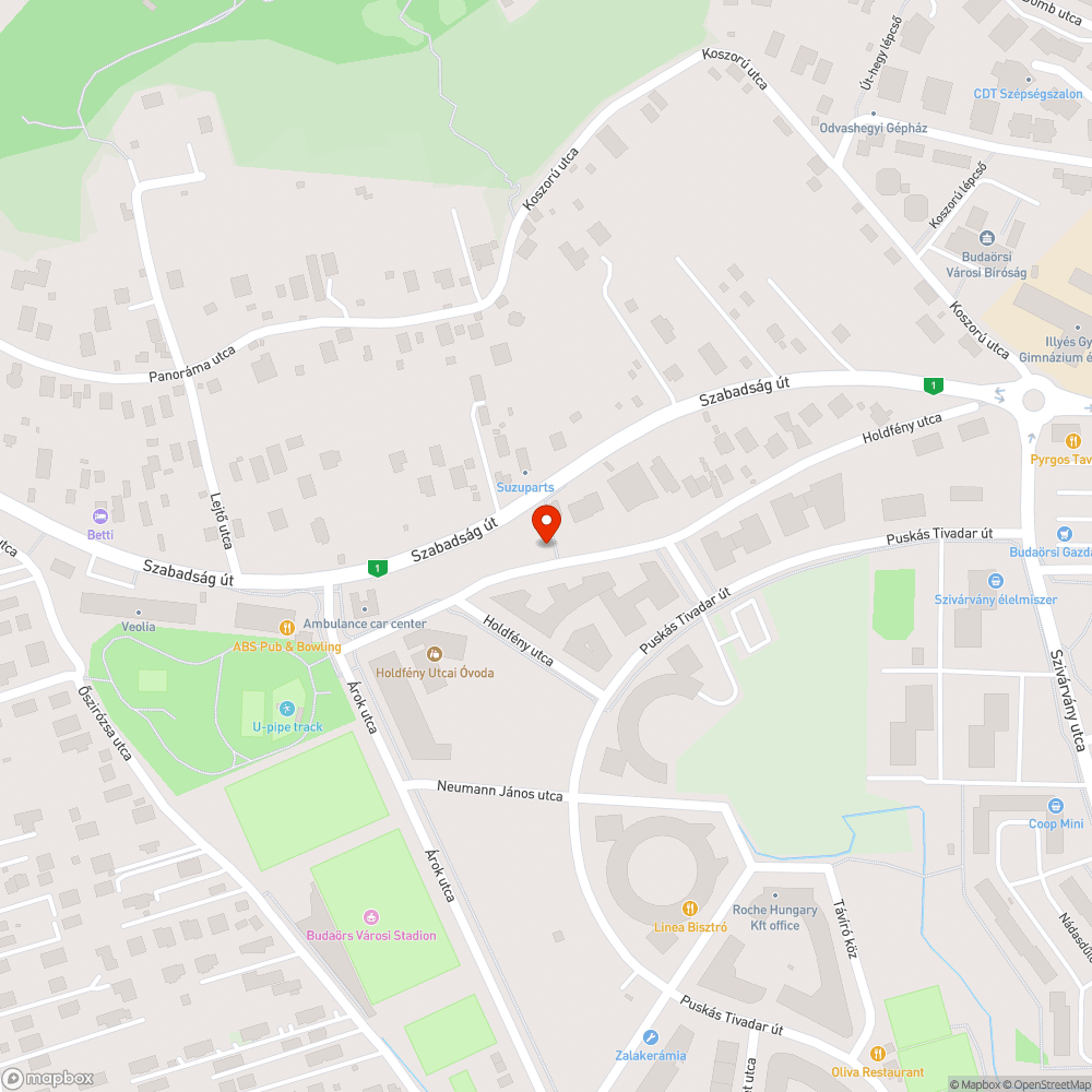 Nagyon magasan kiemelkedő csatornafedél bejelentés helye