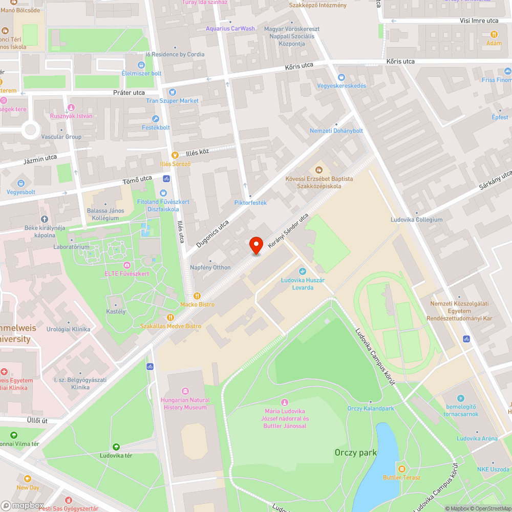 Kidobott szőnyegek bejelentés helye