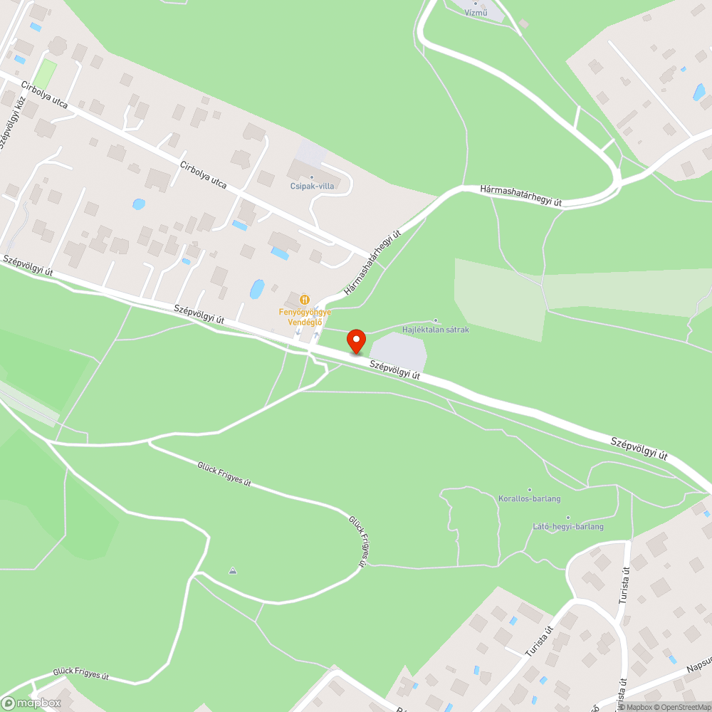 Vaddisznó tetem bejelentés helye