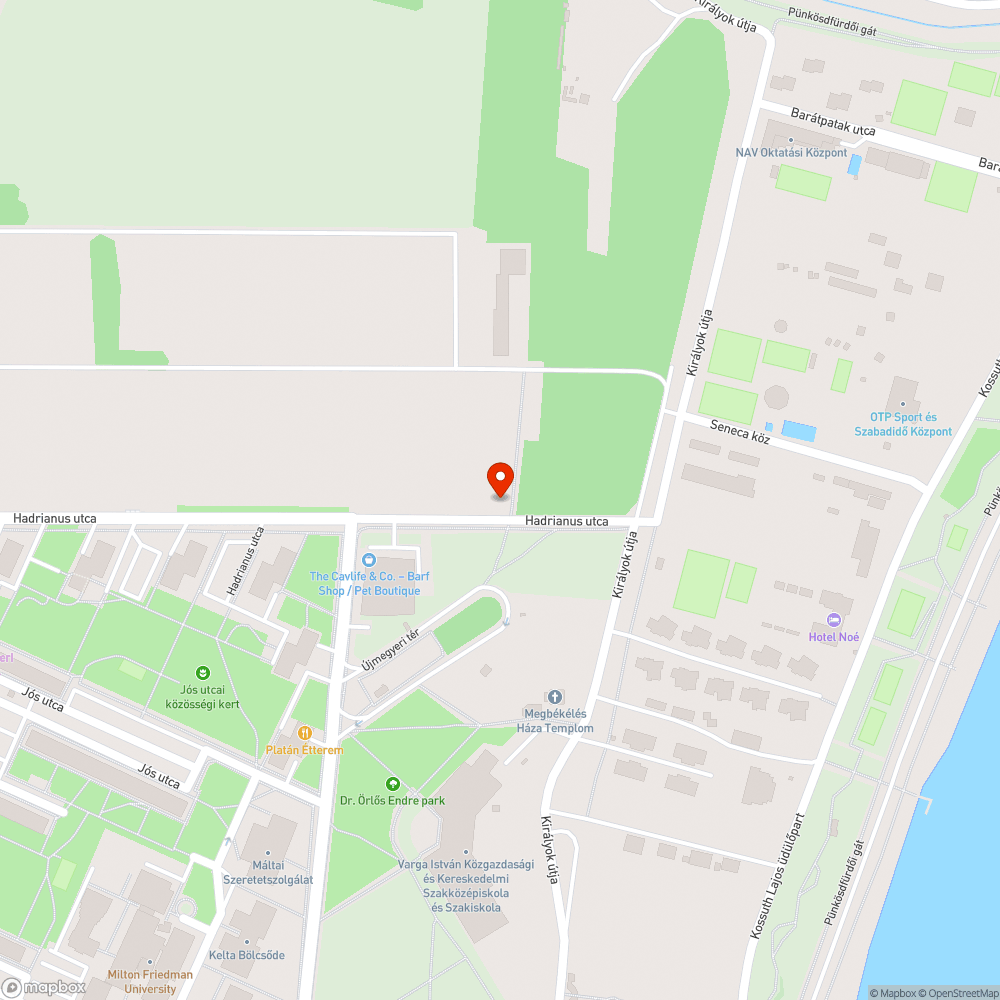 Szegély gyommentesítése bejelentés helye