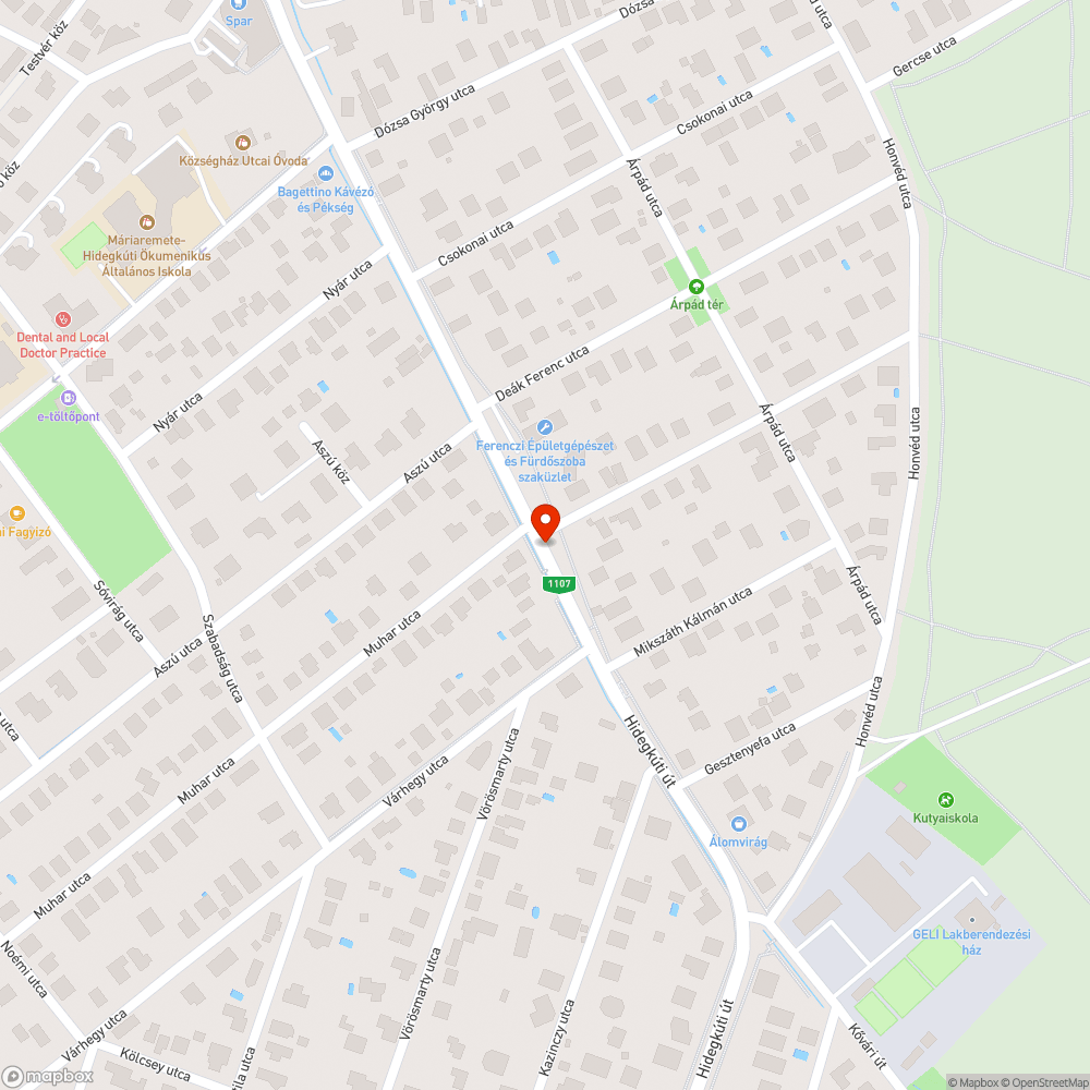 Elpusztult házimacska bejelentés helye