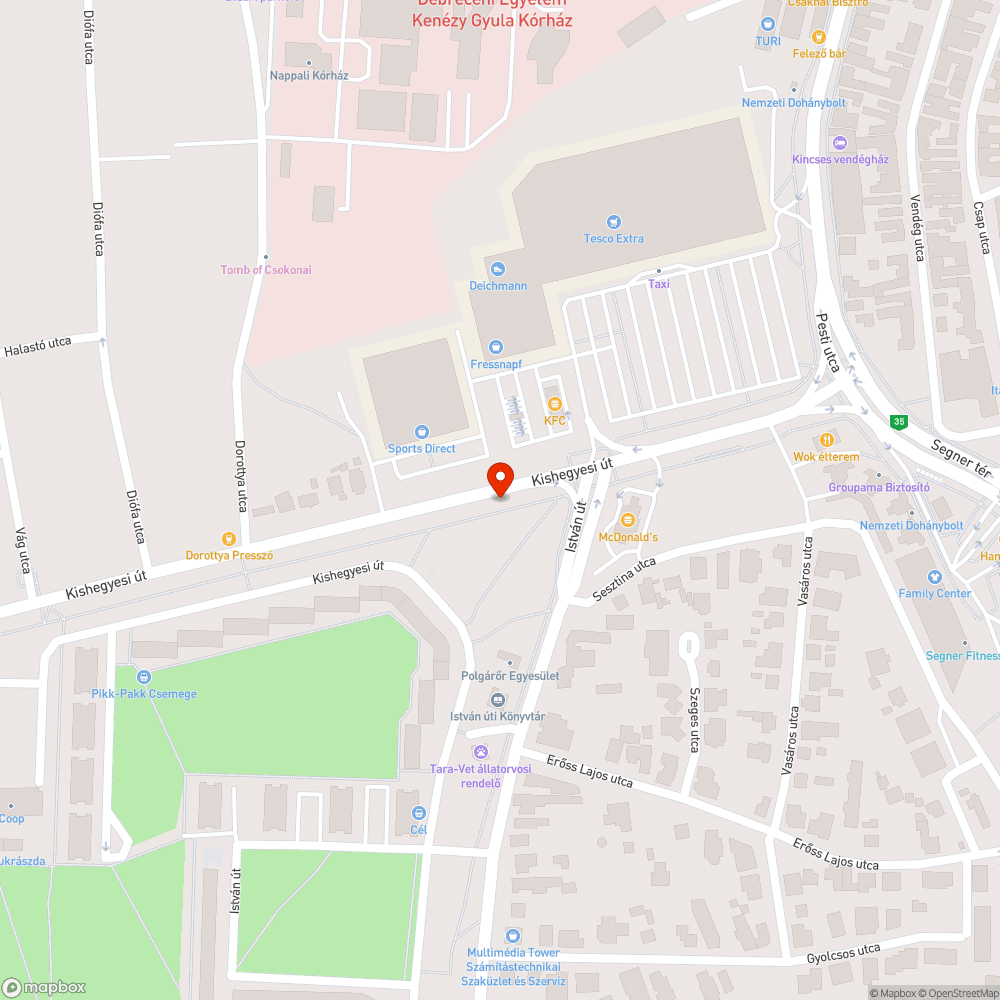 Beköltöztek a fa alá a belvárosban bejelentés helye