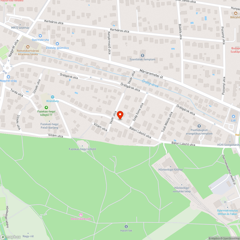 Veszélyesnek tűnő fa bejelentés helye