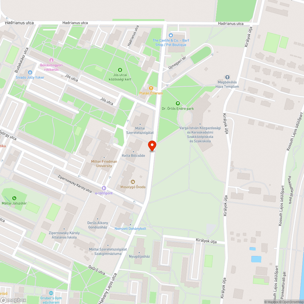 Útszegély mellett takarítás hiánya bejelentés helye