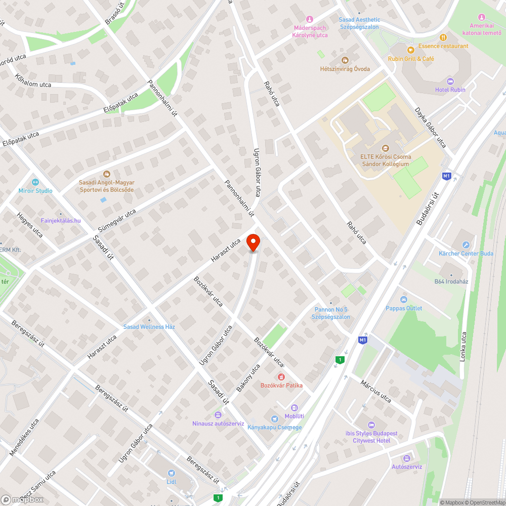 Szokásos avartömeg az úttesten. bejelentés helye