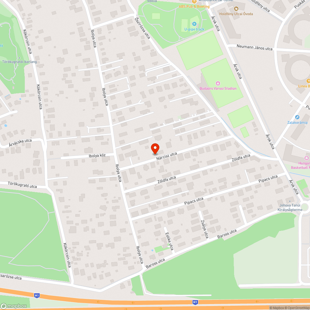 A Nárcisz és az Ibolya utcákban nincs közvilágítás bejelentés helye