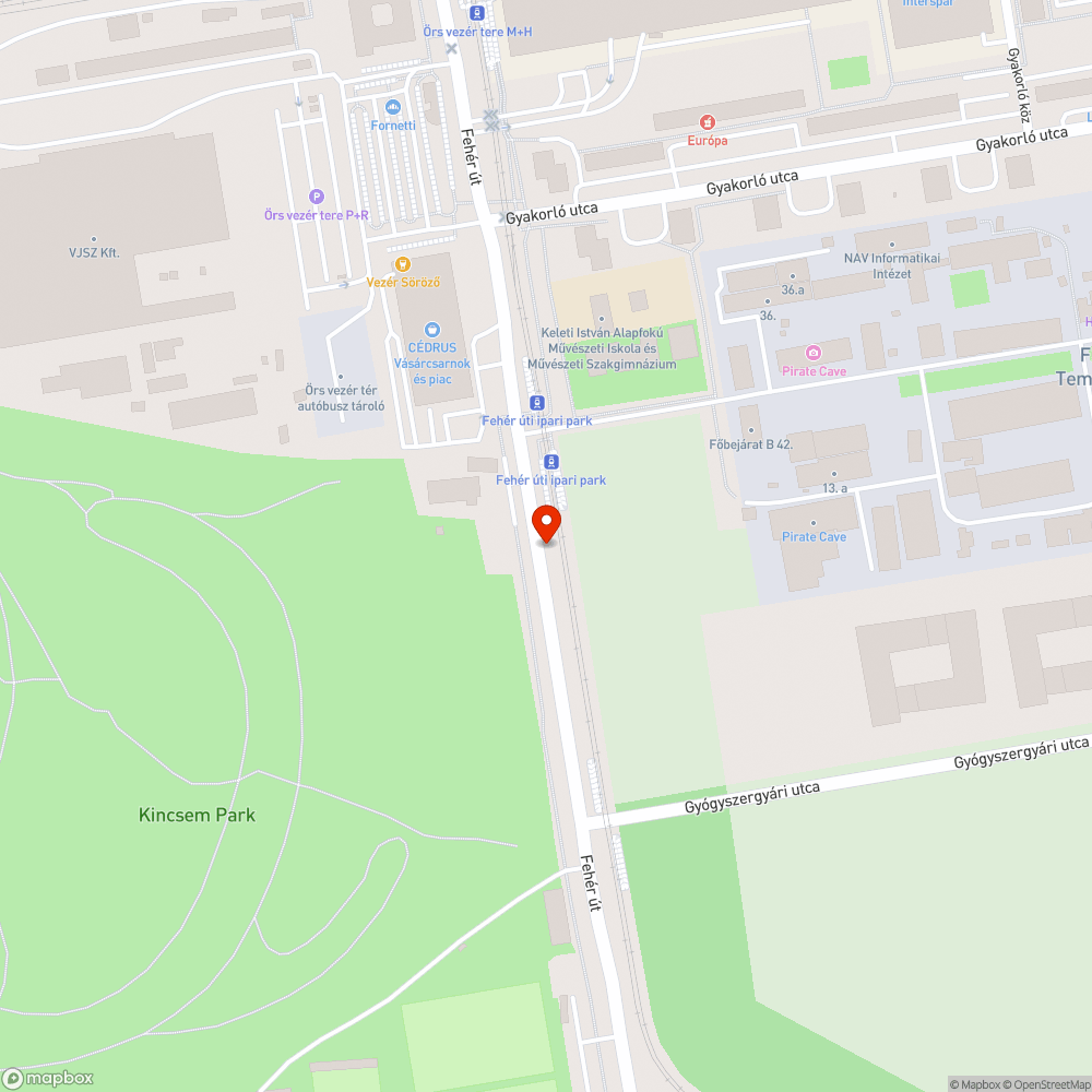 Környezetromboló parkolás bejelentés helye