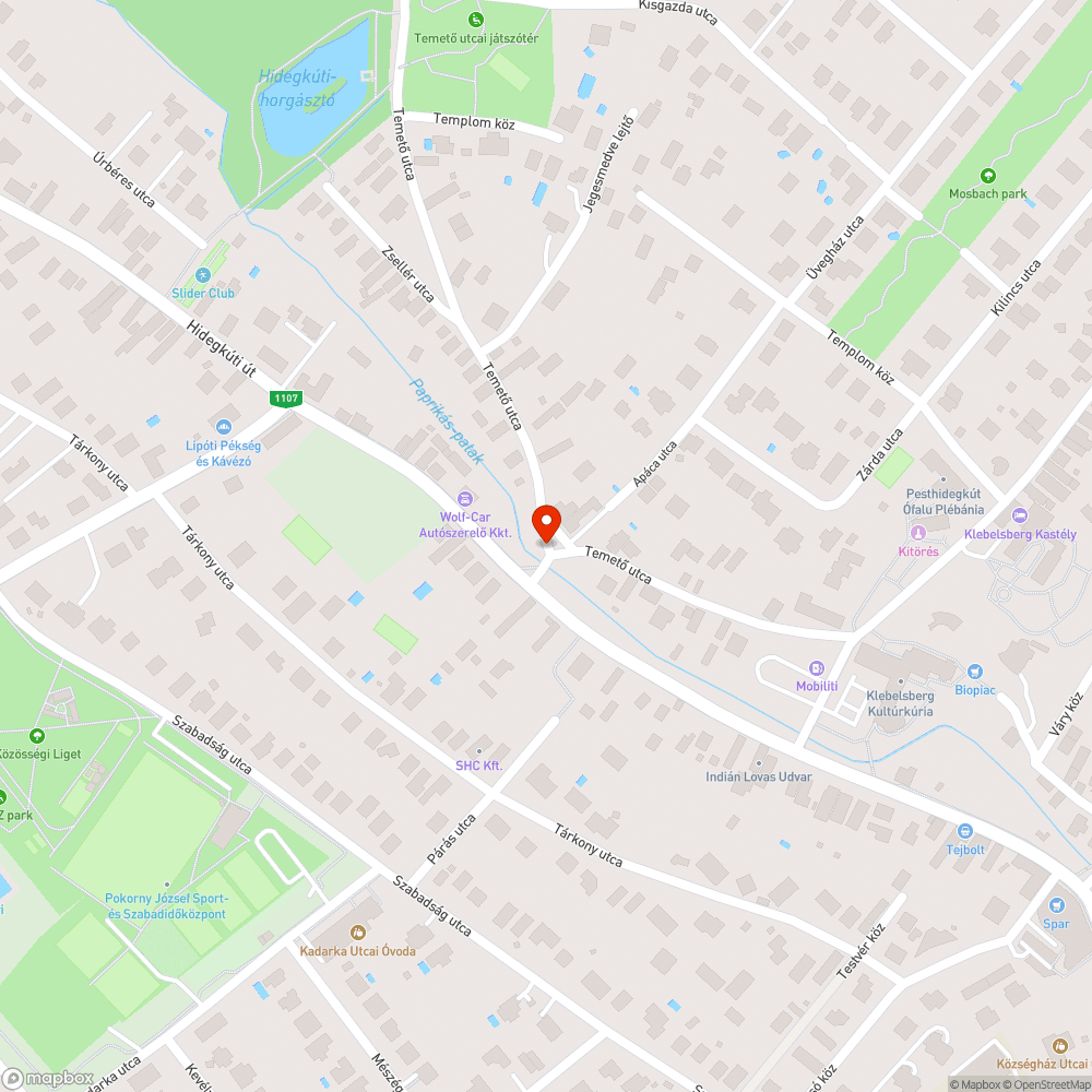 Graffitis pad a pesthidegkúti sváb emlékparkban bejelentés helye