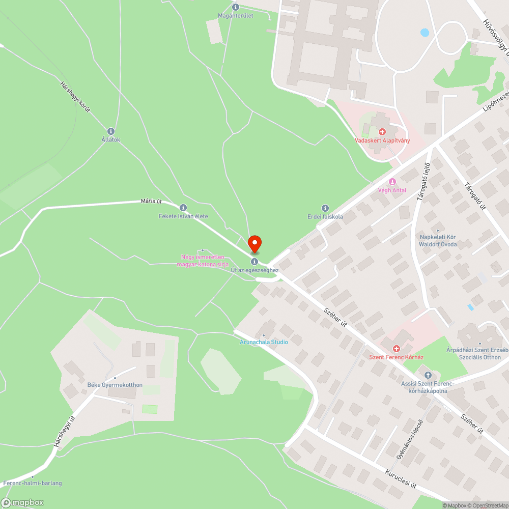 Életveszélyes fa a Széher út végén bejelentés helye