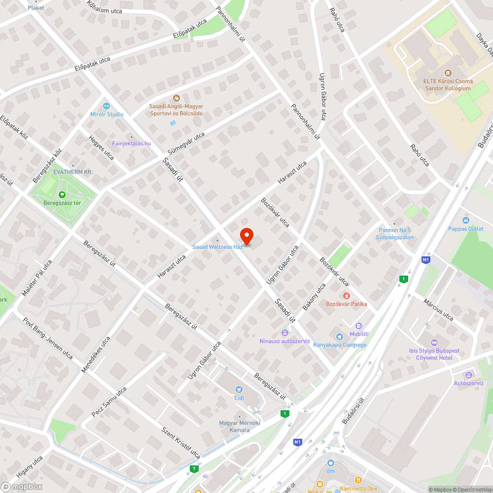 Sasadi út 21. széles repedések a járdán bejelentés helye