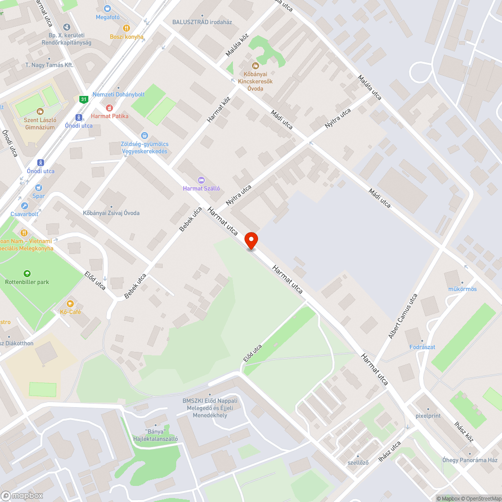 Levágott fanyesedék és avar a kerékpárúton bejelentés helye