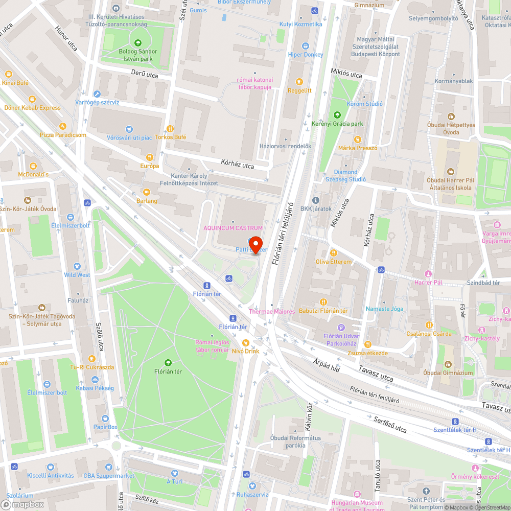 Óriási patkány a Flórián téren bejelentés helye