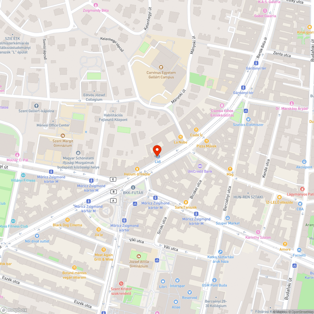 Szabálytalan parkolások a Bartók ház előtt bejelentés helye