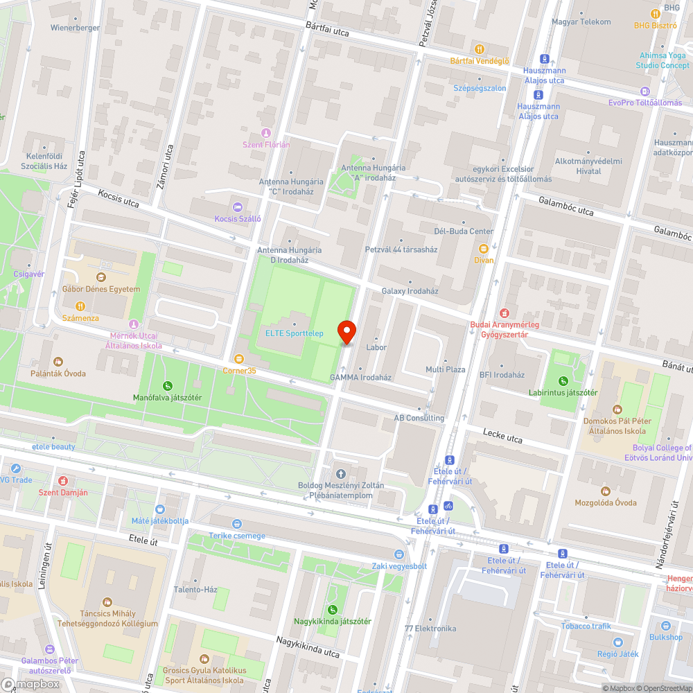 Rengeteg falevél az úton bejelentés helye