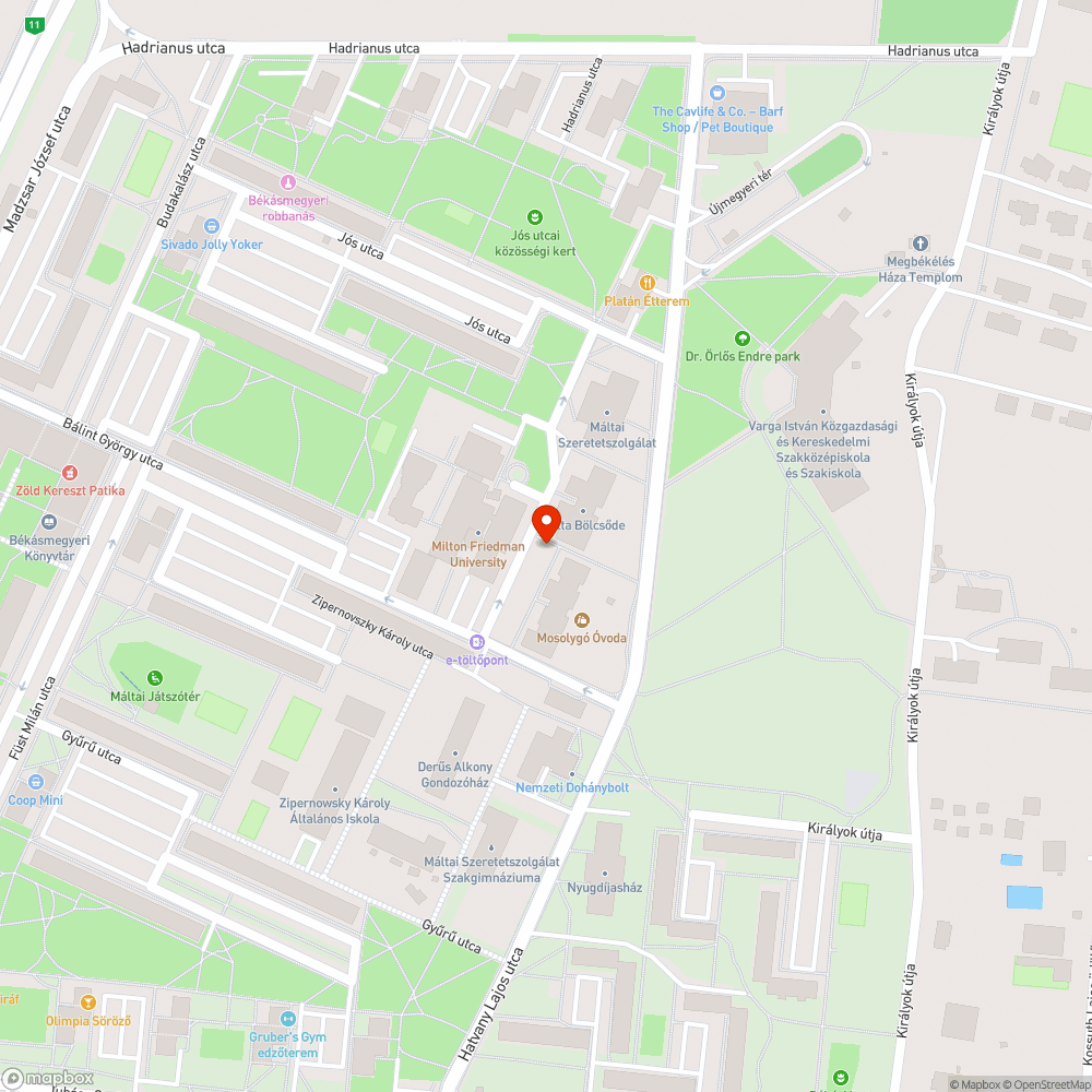 Falevelek a járdán + járhatatlan a vége bejelentés helye