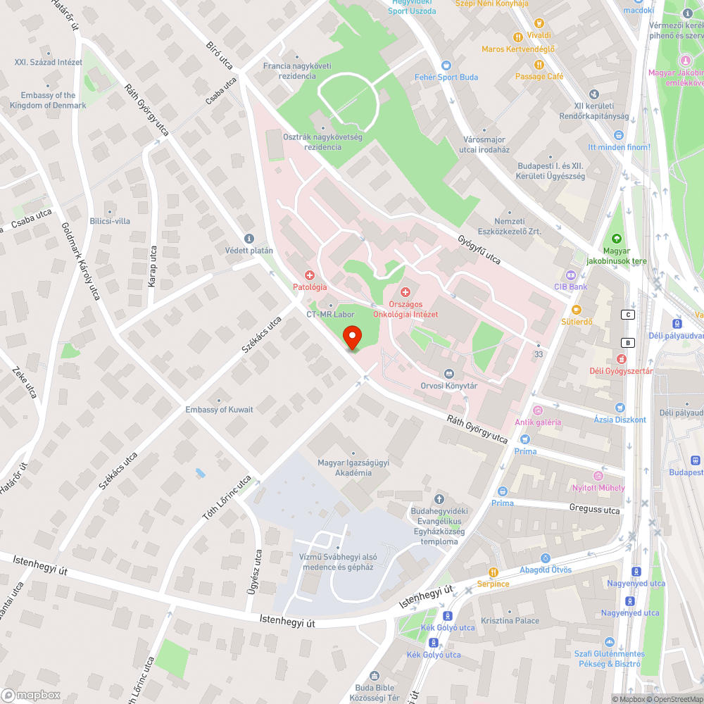 Graffitis bejelentés helye